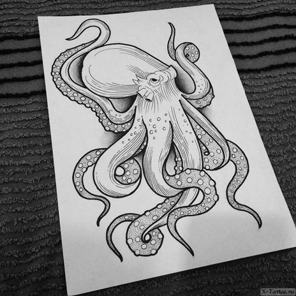 Осьминог лайнворк