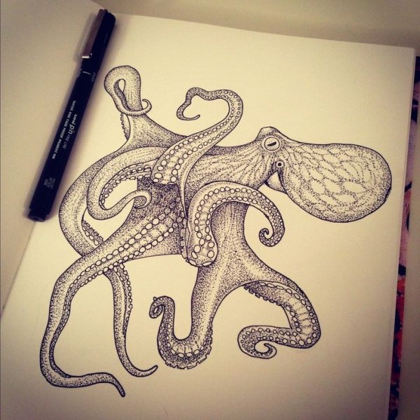 Осьминог черной ручкой