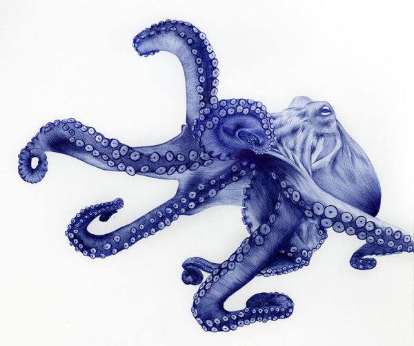 Осьминог шариковой ручкой