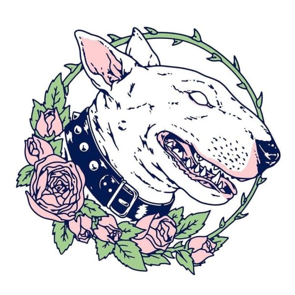 Спартак бультерьер офник