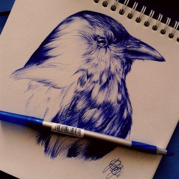 Птица ручкой