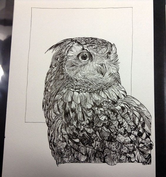 Птичка черной ручкой