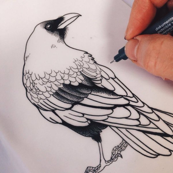 Тату ворон dotwork