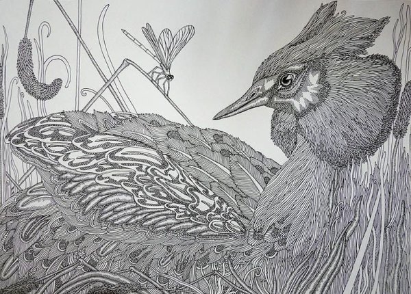 Птицы Графика