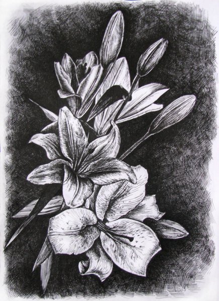 Цветы в графике