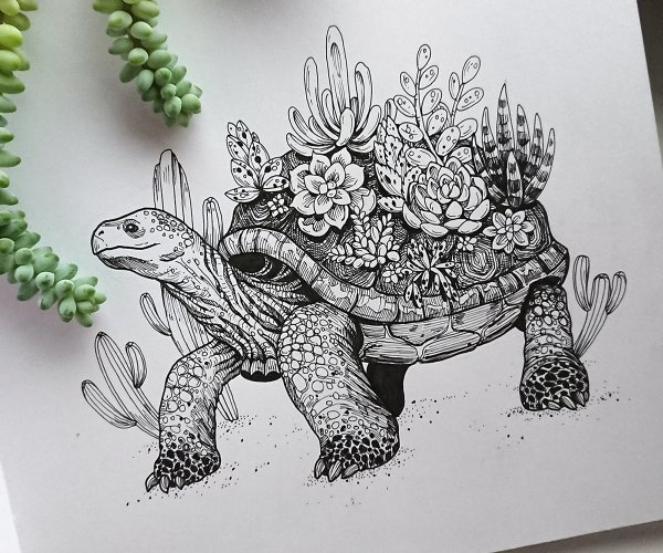 Интересные эскизы рисунков