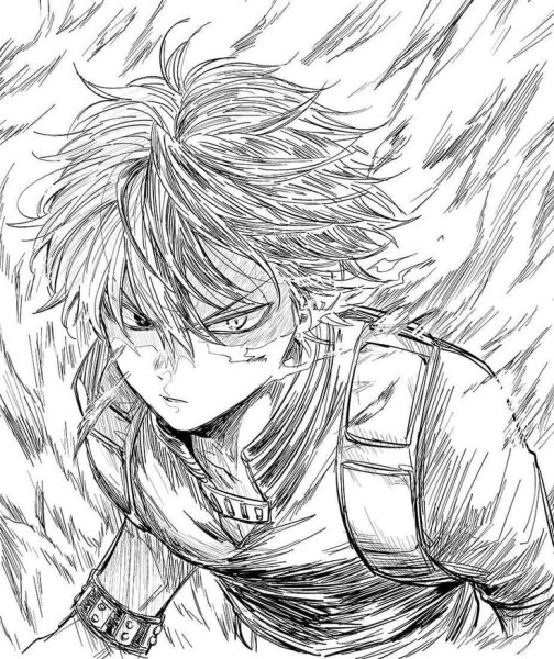 Тодороки лайнарт