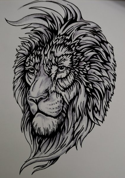 Нарисованный ручкой Лев