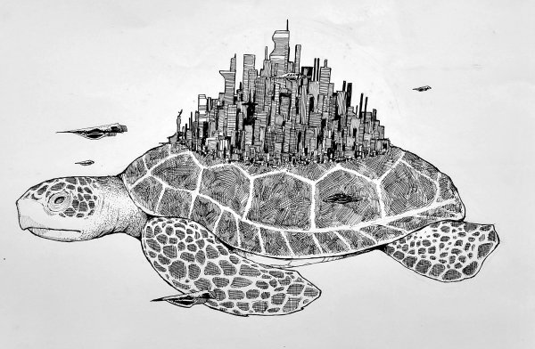 Черепаха Графика