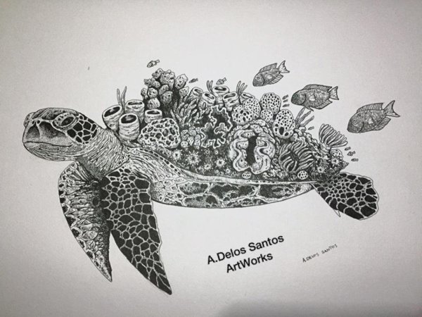 Графика кит и черепаха