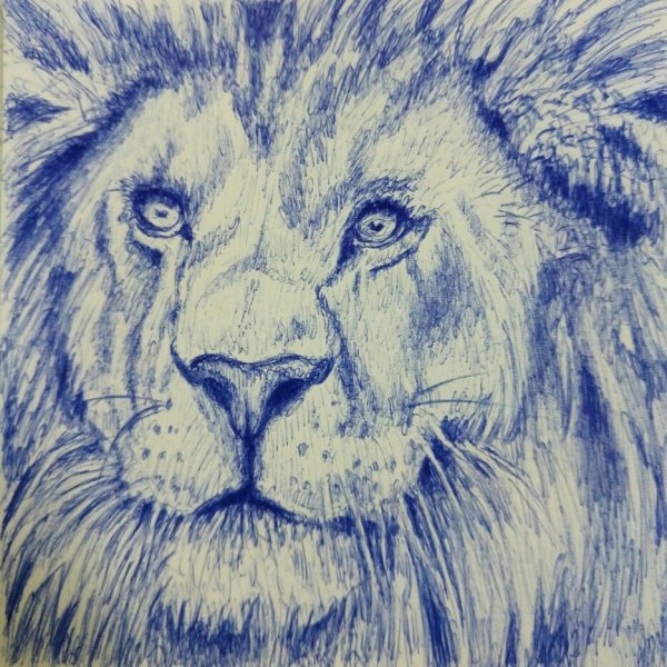 Нарисованный ручкой Лев