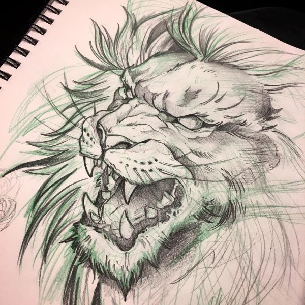 Оскал Льва эскиз