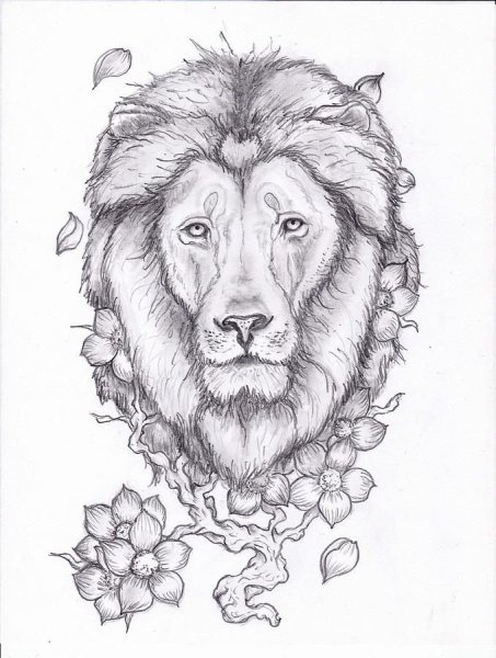 Рисунок Льва для срисовки
