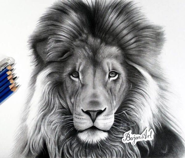 Лев нарисованный баллончиком