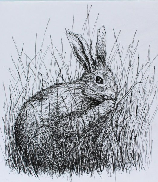 Животные гелевой ручкой