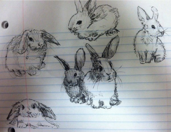 Кролик в скетчбук
