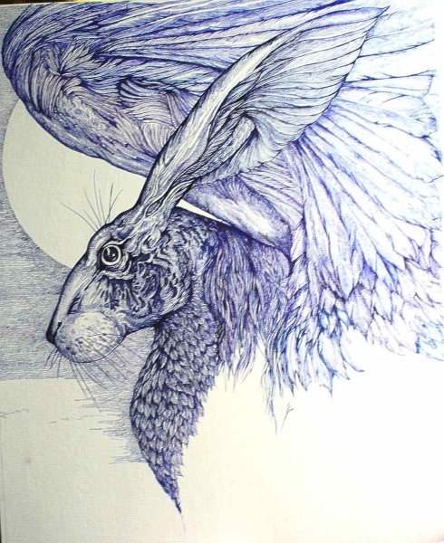 Морда кролика рисунок