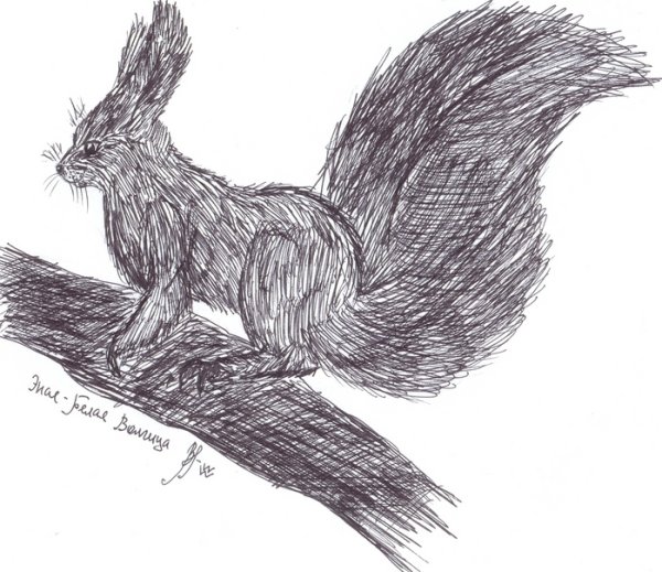 Белка гелевой ручкой