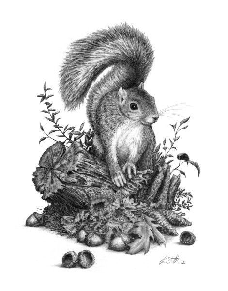 Животные тушью