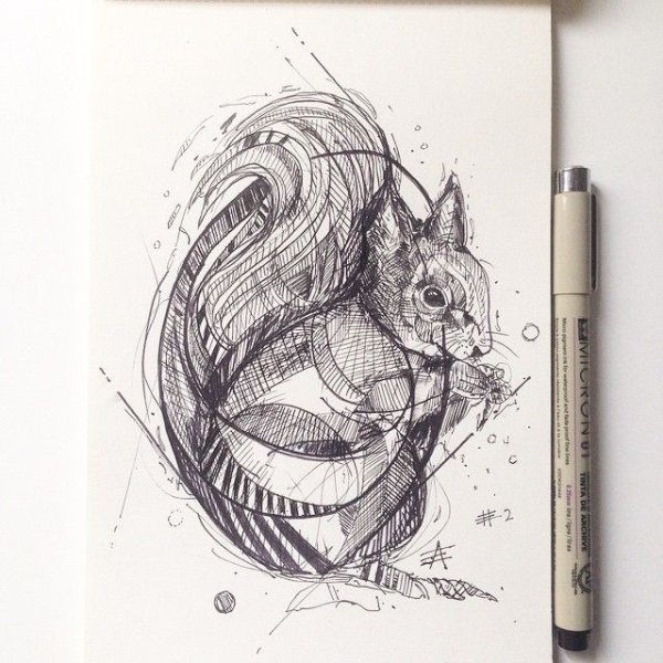 Белка рисунок карандашом