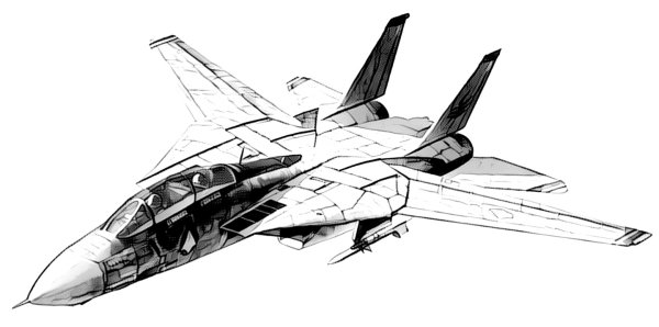 F-14 Tomcat спереди