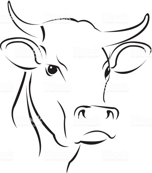 Корова эскиз