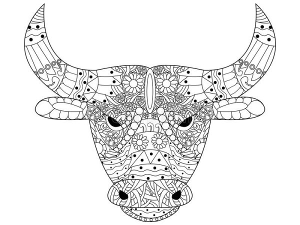 Раскраска антистресс бык