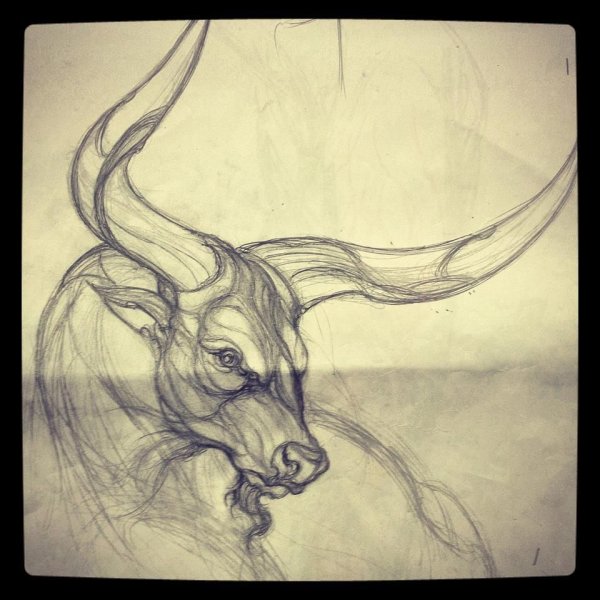 Бык Графика