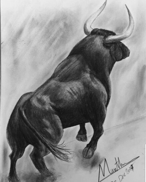 Рисование быка