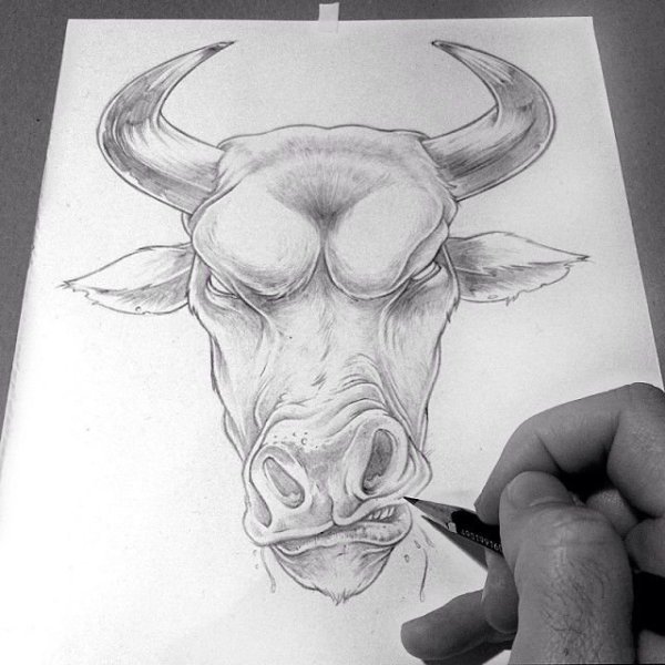 Тату быка эскизы