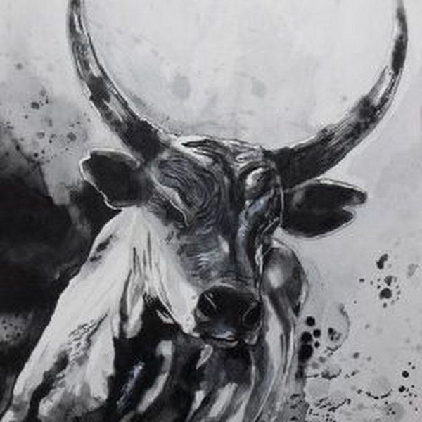 Бык набросок
