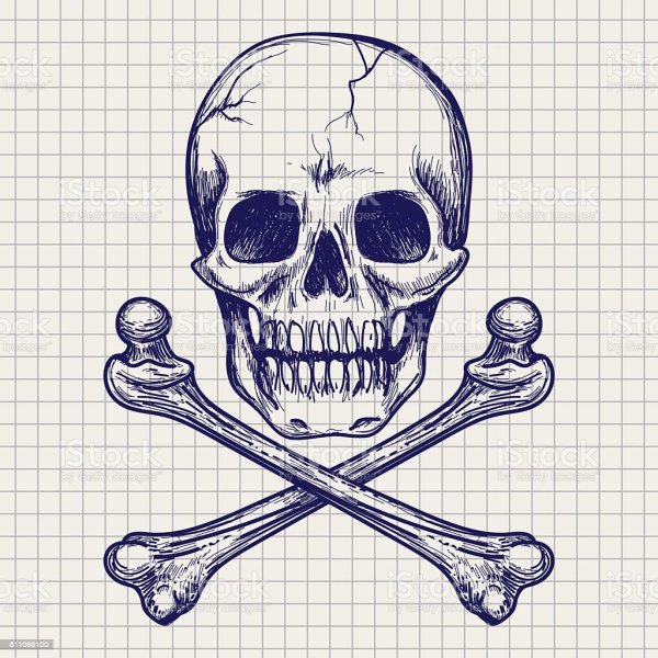Перекрещенные кости