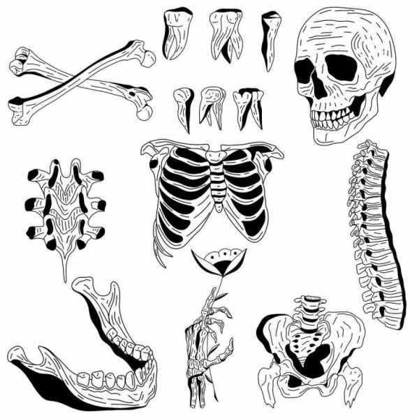 Нож кость эскиз