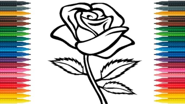 Рисунки разных цветов