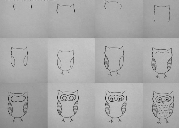 Поэтапное рисование Совы