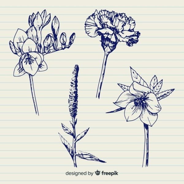 Скетчбук цветы
