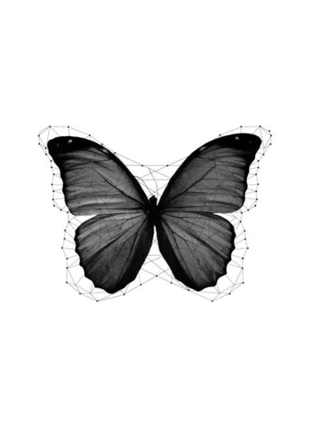 Бабочка черной ручкой