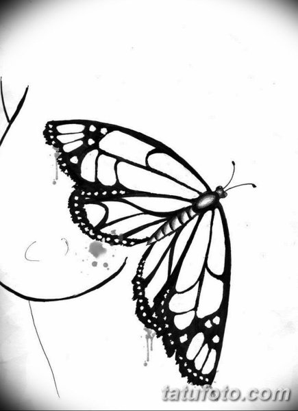 Тату бабочка эскиз ручкой