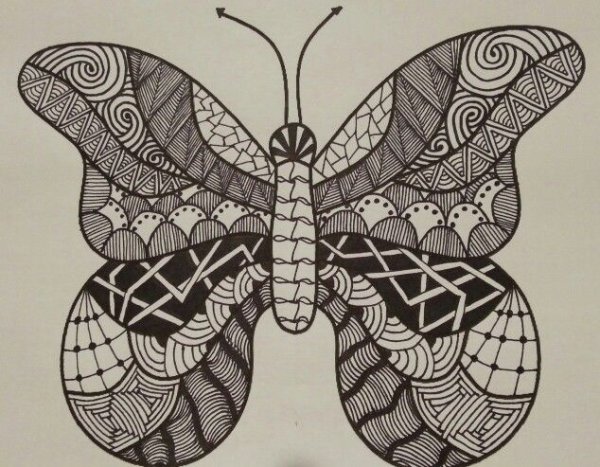Дудлинг бабочка