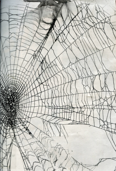 Паутина Графика