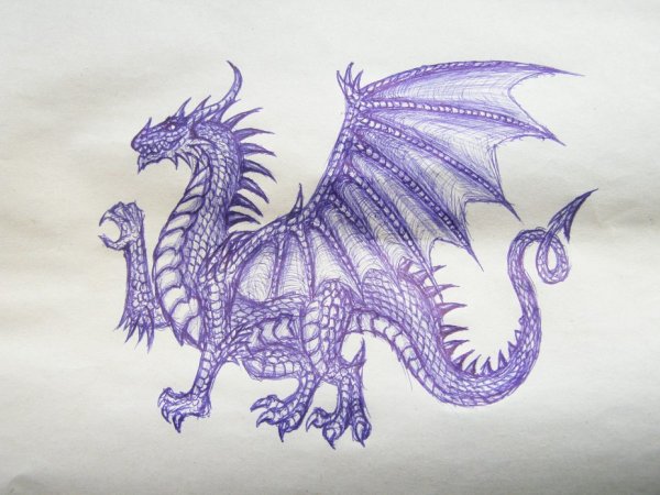 Дракон черной ручкой
