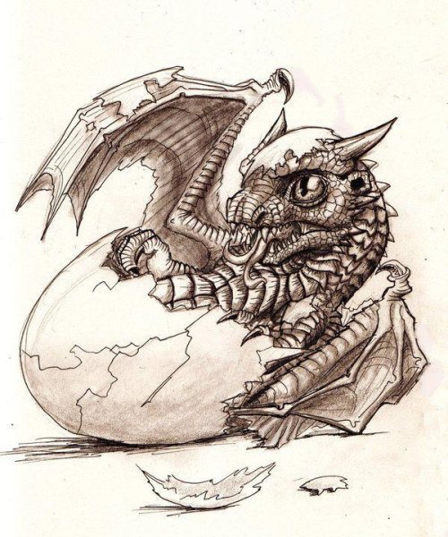Дракон скетч ручкой