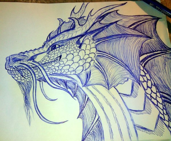 Рисунки чёрной ручкой