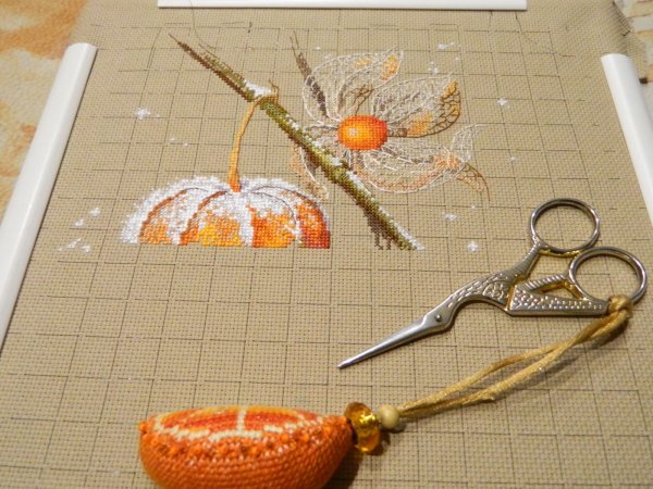 Физалис золотые ручки отшив