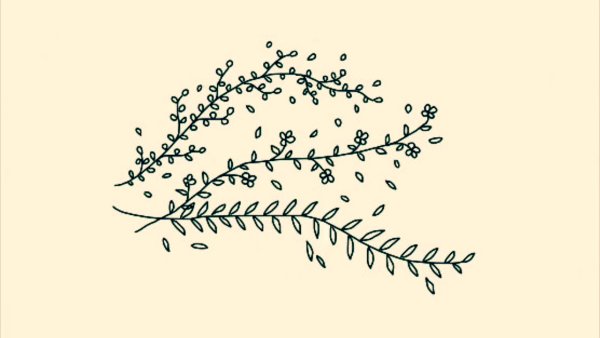 Рисунки веточек для срисовки