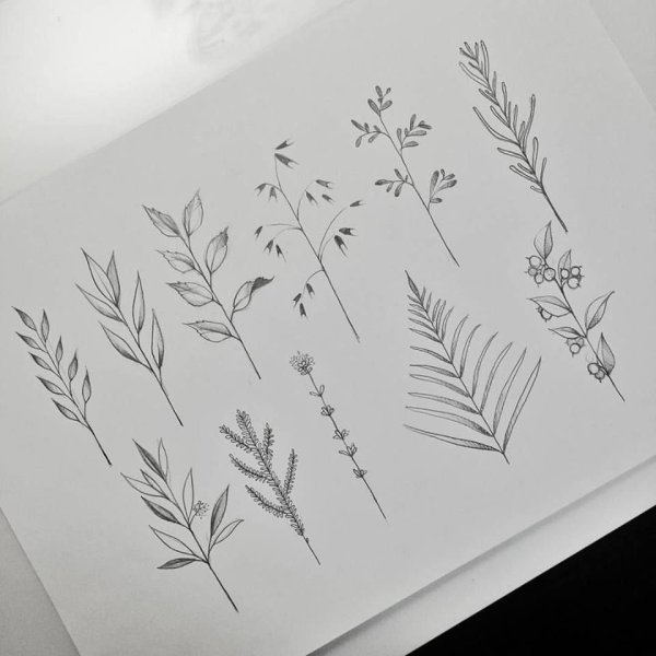 Тату листочки веточки