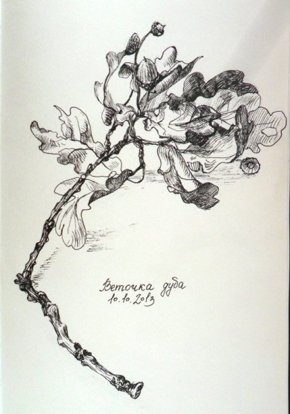 Зарисовки деревьев линером