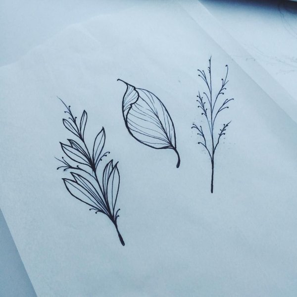 Тату листья эскизы