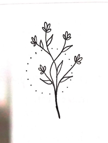Эскиз тату растения лёгкий