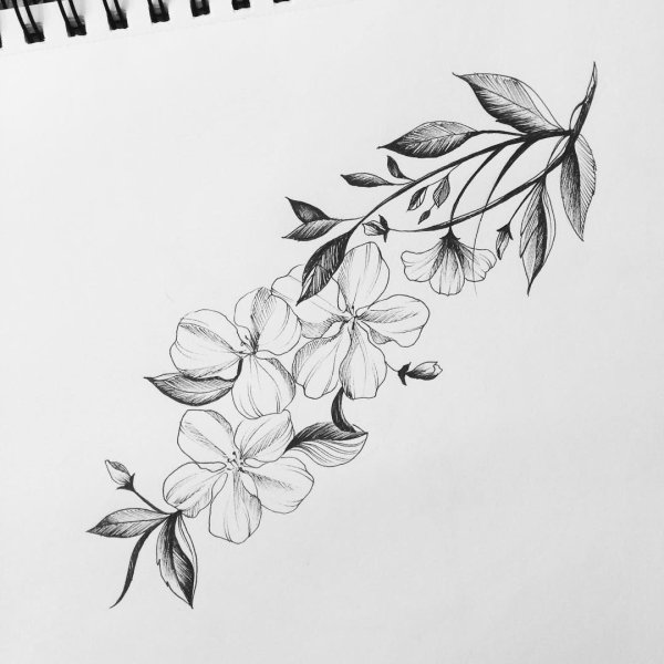 Тату веточка эскиз